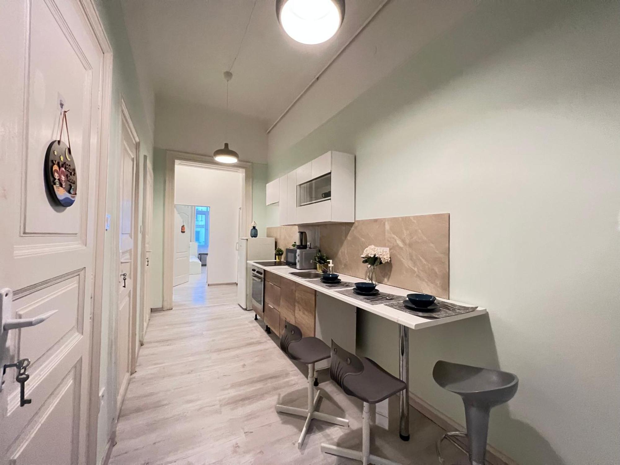 Baross Apartment With Convenience And Style Budapest Eksteriør billede